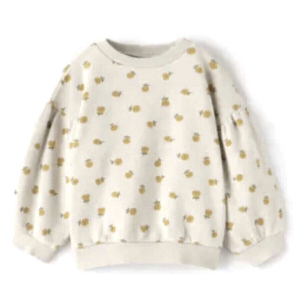 Zara Girls Floral Sweatshirt
